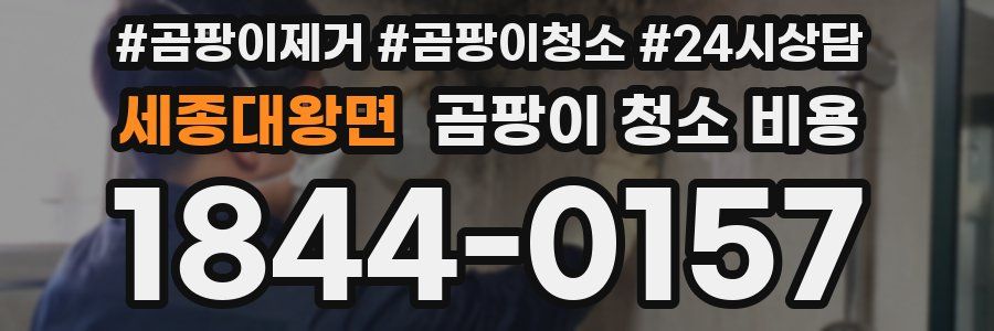 세종대왕면 곰팡이 청소 비용