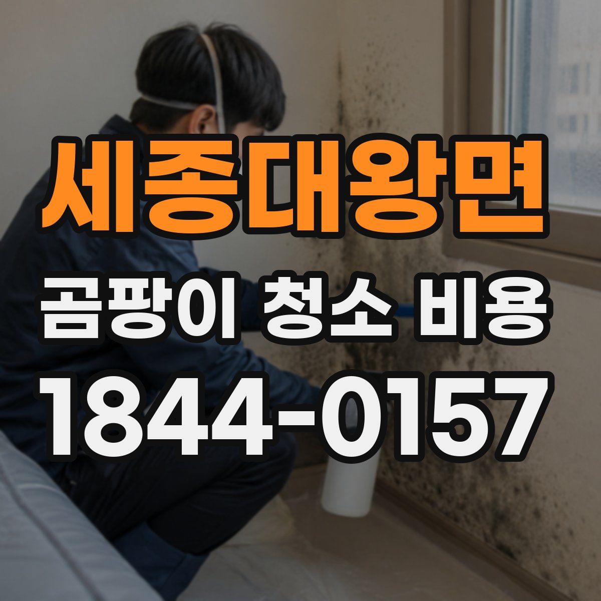 세종대왕면 곰팡이 청소 비용
