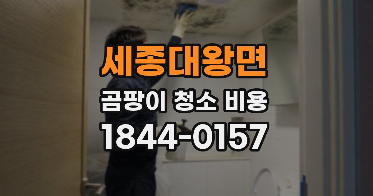 세종대왕면 곰팡이 청소 비용