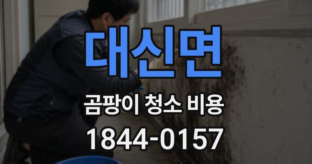 대신면 곰팡이 청소 비용
