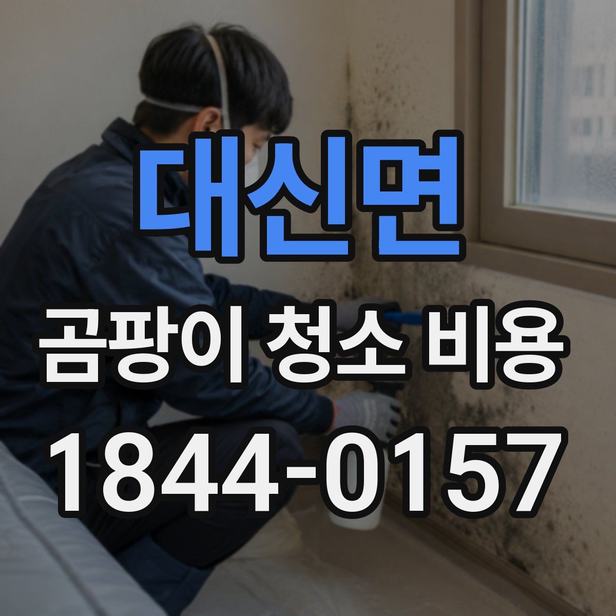 대신면 곰팡이 청소 비용