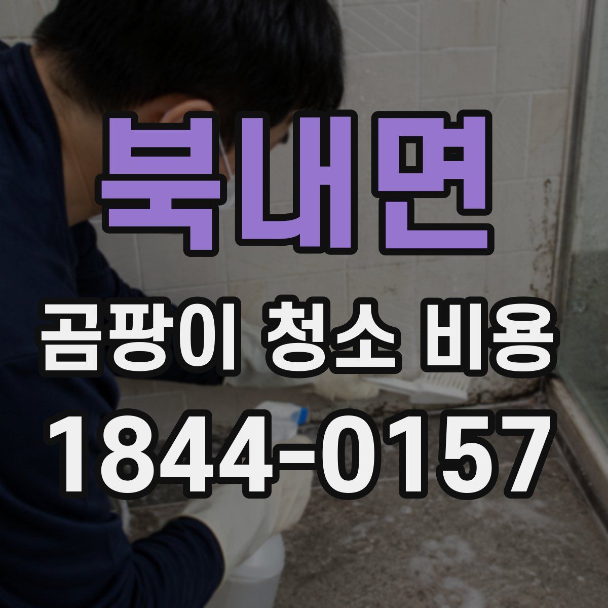 북내면 곰팡이 청소 비용