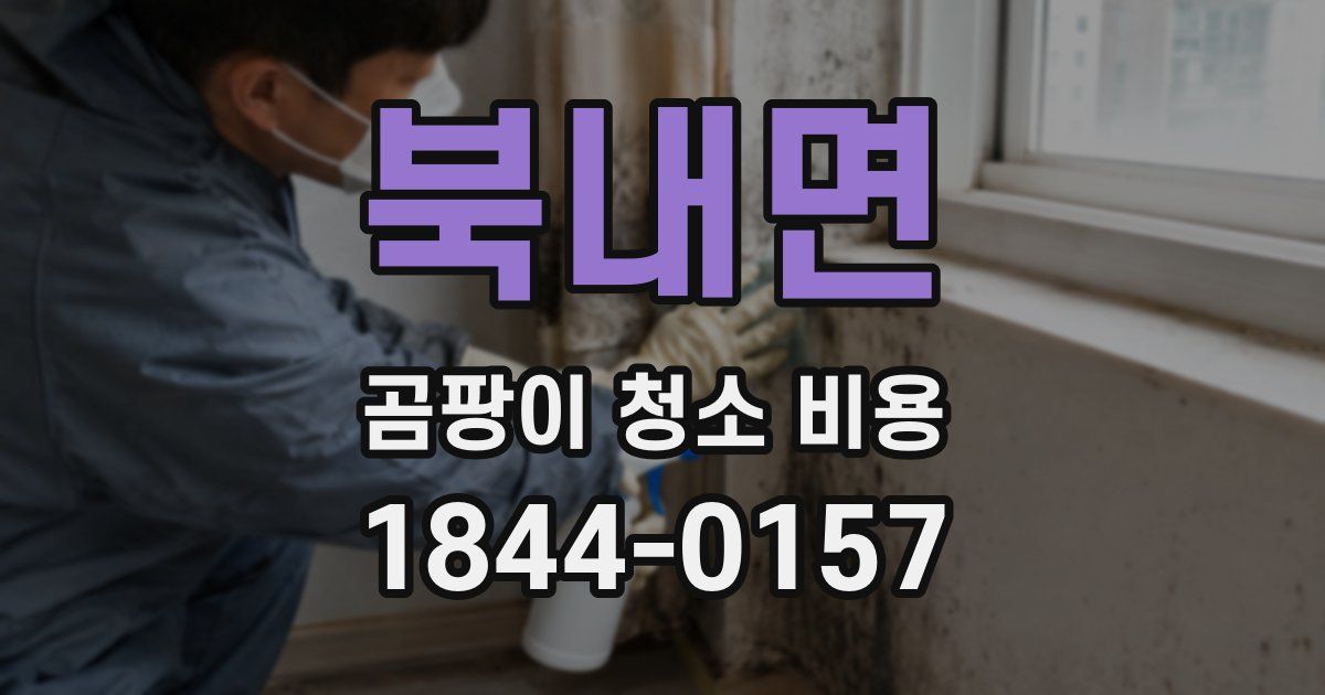 북내면 곰팡이 청소 비용