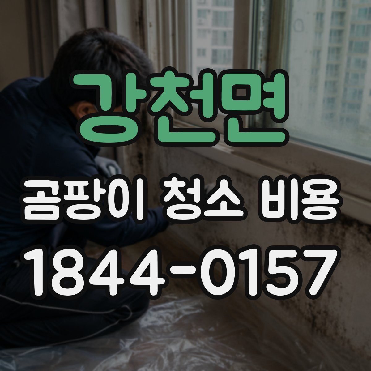 강천면 곰팡이 청소 비용