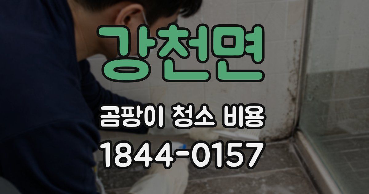 강천면 곰팡이 청소 비용