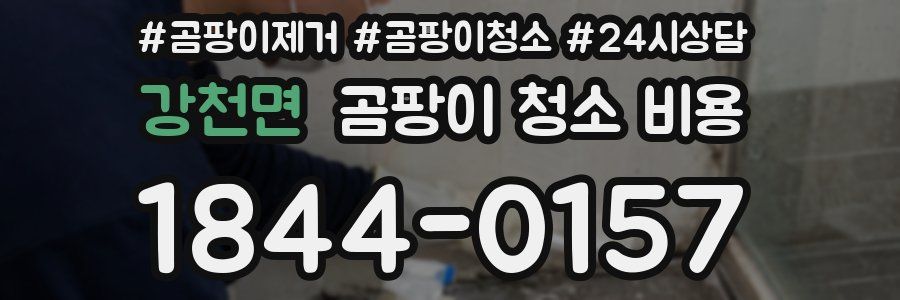 강천면 곰팡이 청소 비용