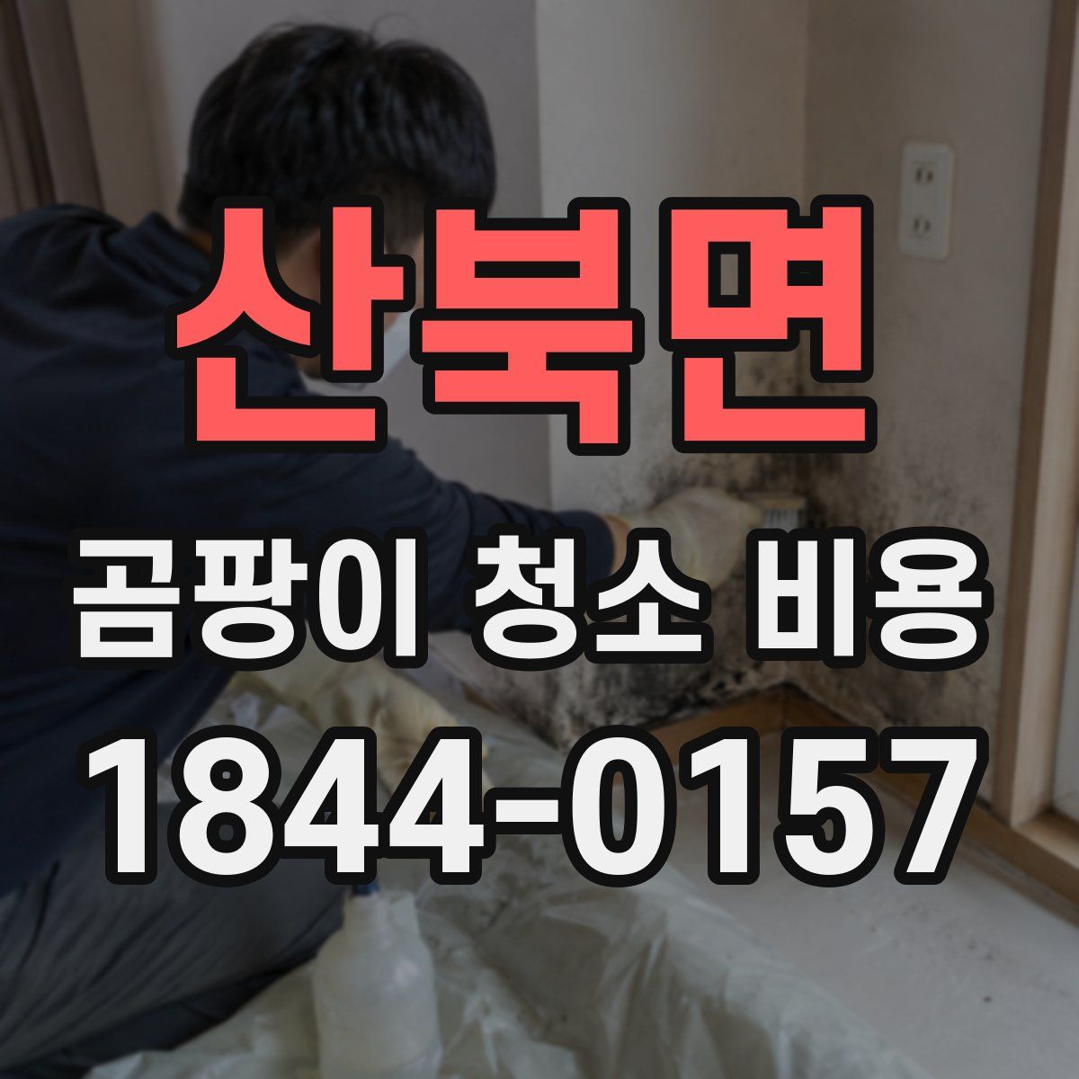 산북면 곰팡이 청소 비용