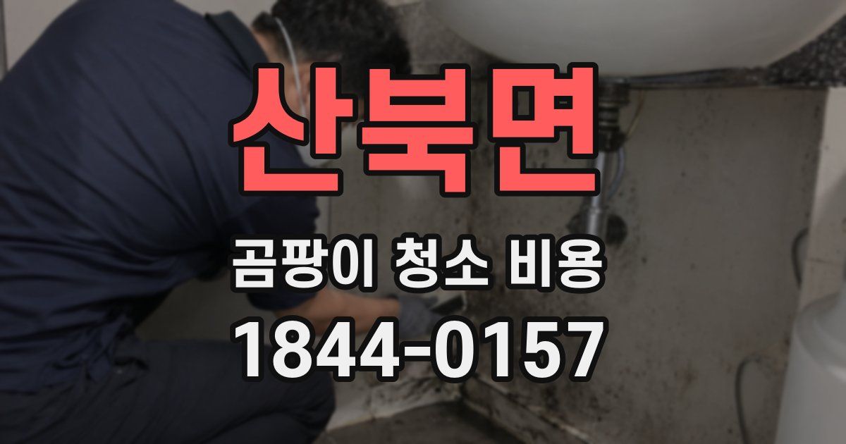 산북면 곰팡이 청소 비용