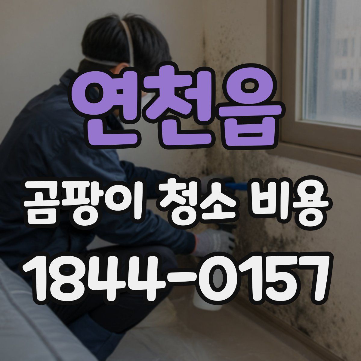 연천읍 곰팡이 청소 비용