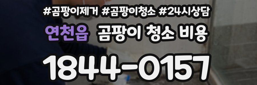 연천읍 곰팡이 청소 비용