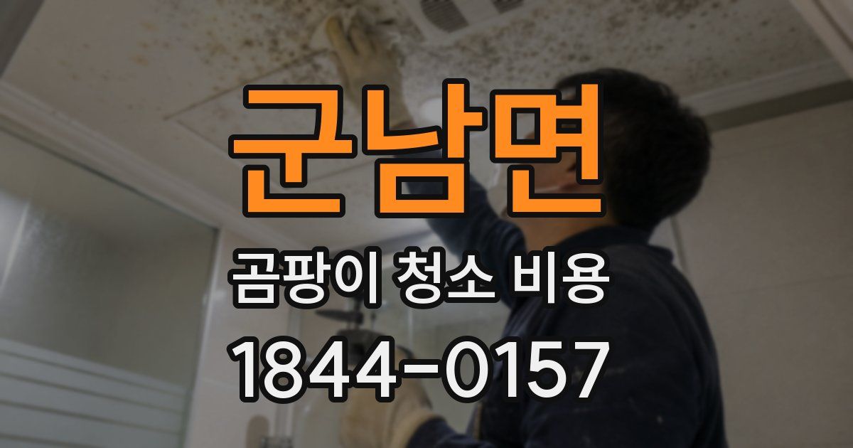 군남면 곰팡이 청소 비용