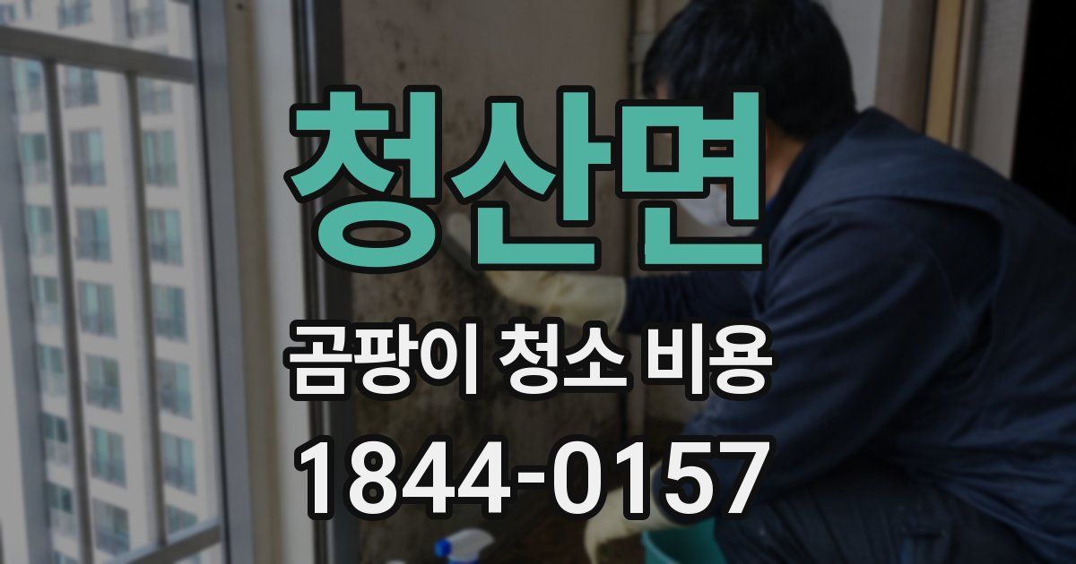 청산면 곰팡이 청소 비용