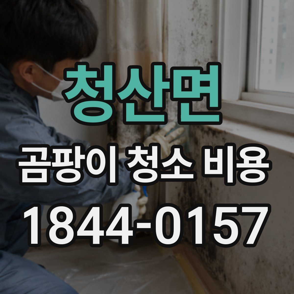청산면 곰팡이 청소 비용
