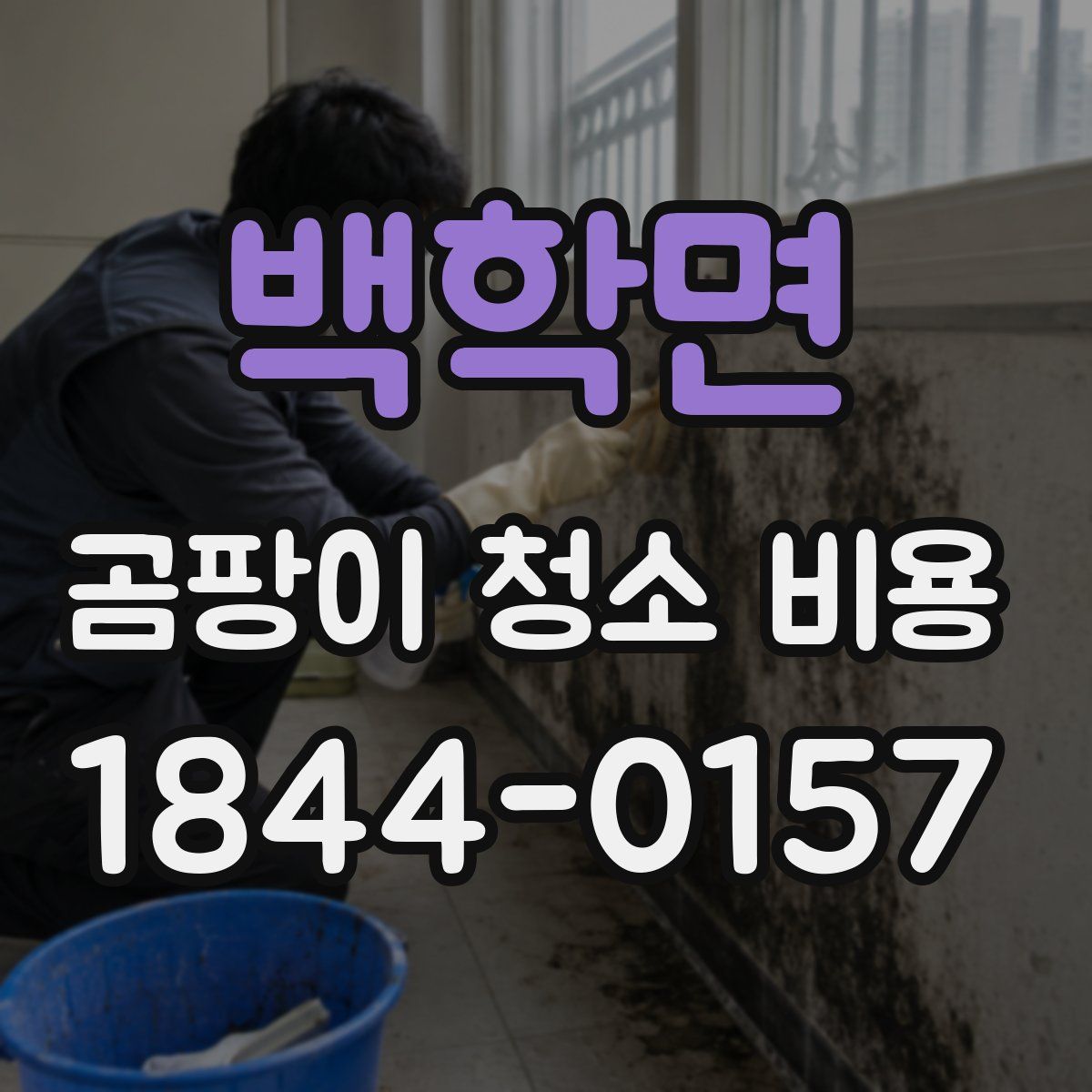 백학면 곰팡이 청소 비용