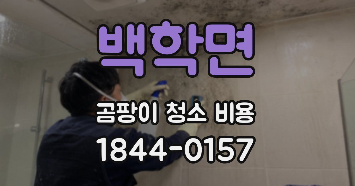 백학면 곰팡이 청소 비용