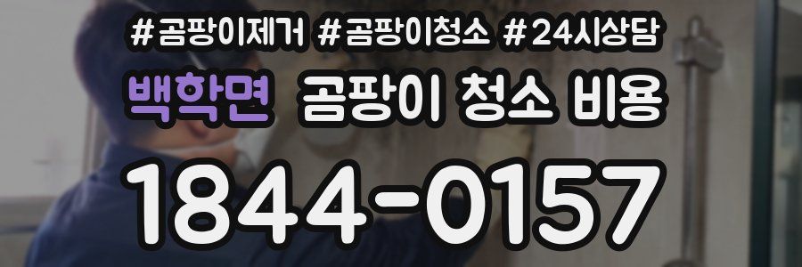 백학면 곰팡이 청소 비용