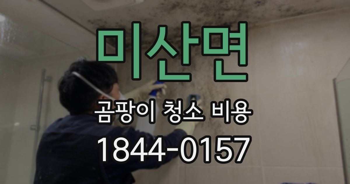 미산면 곰팡이 청소 비용