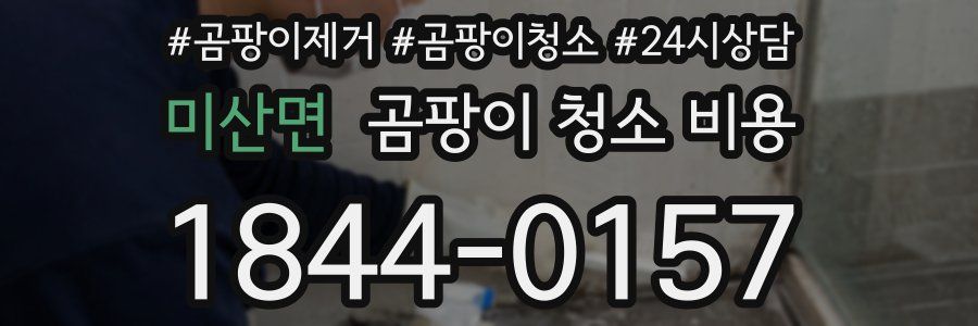 미산면 곰팡이 청소 비용