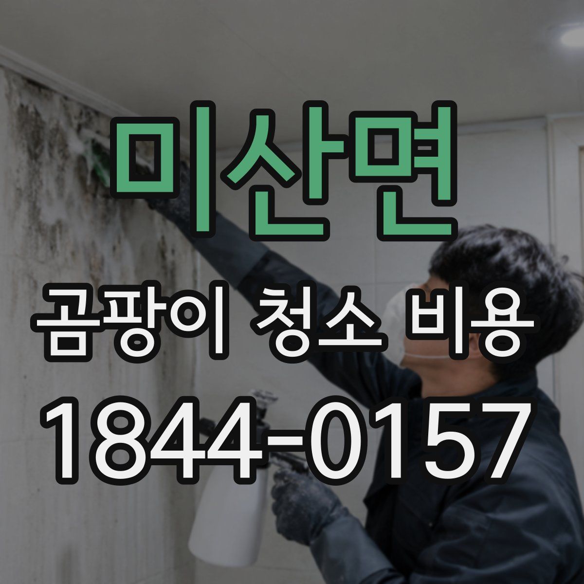 미산면 곰팡이 청소 비용