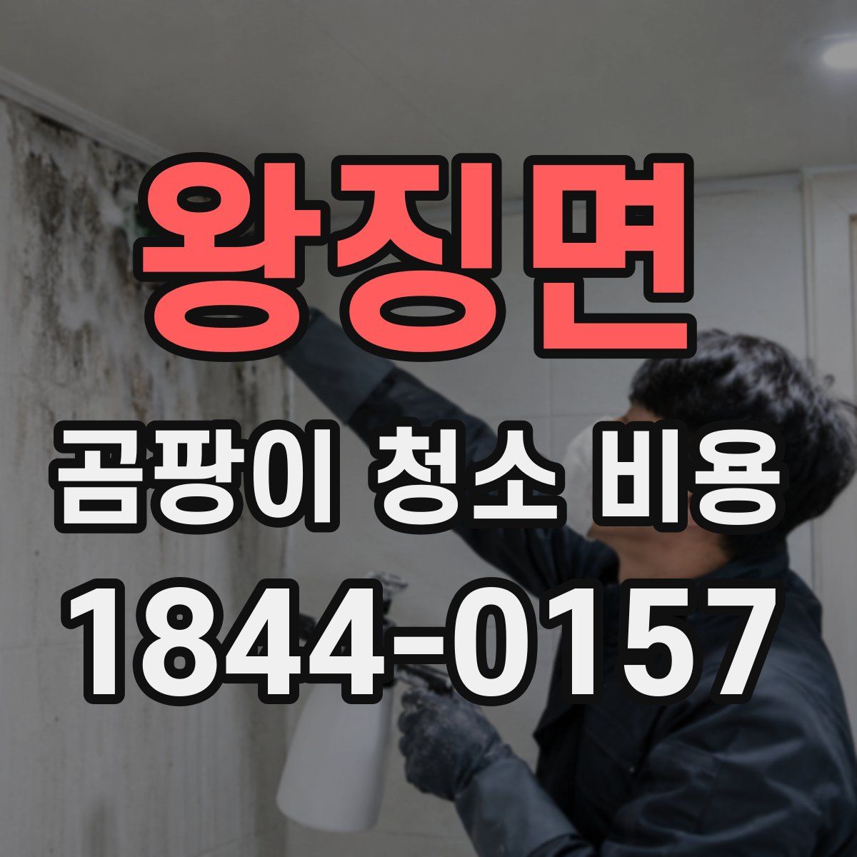 왕징면 곰팡이 청소 비용