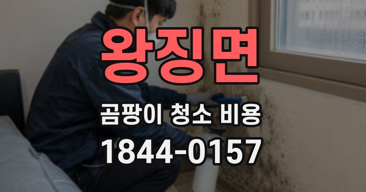 왕징면 곰팡이 청소 비용