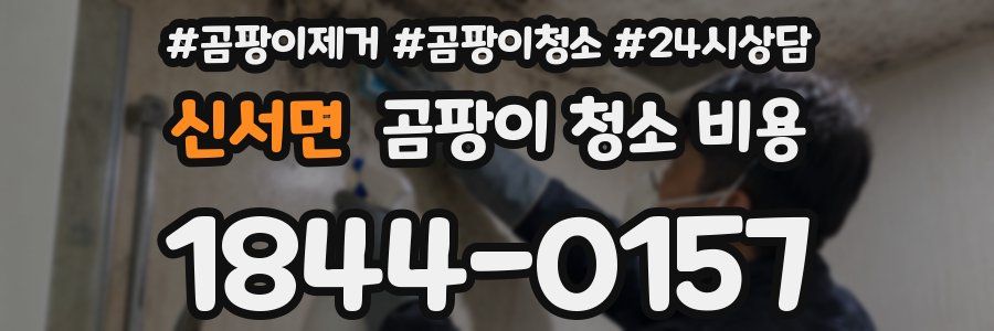 신서면 곰팡이 청소 비용