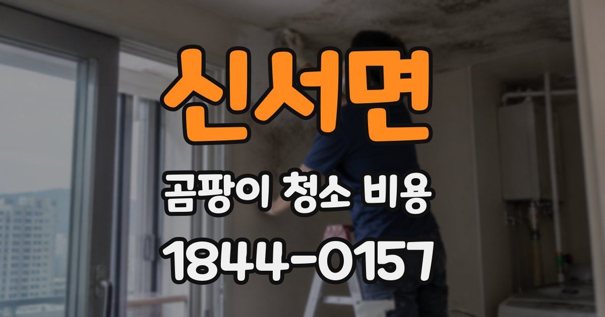 신서면 곰팡이 청소 비용
