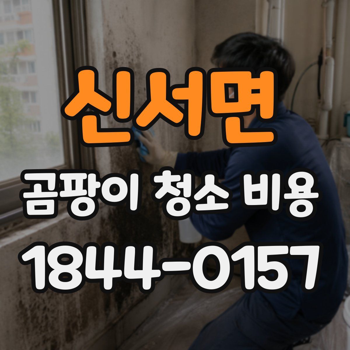 신서면 곰팡이 청소 비용