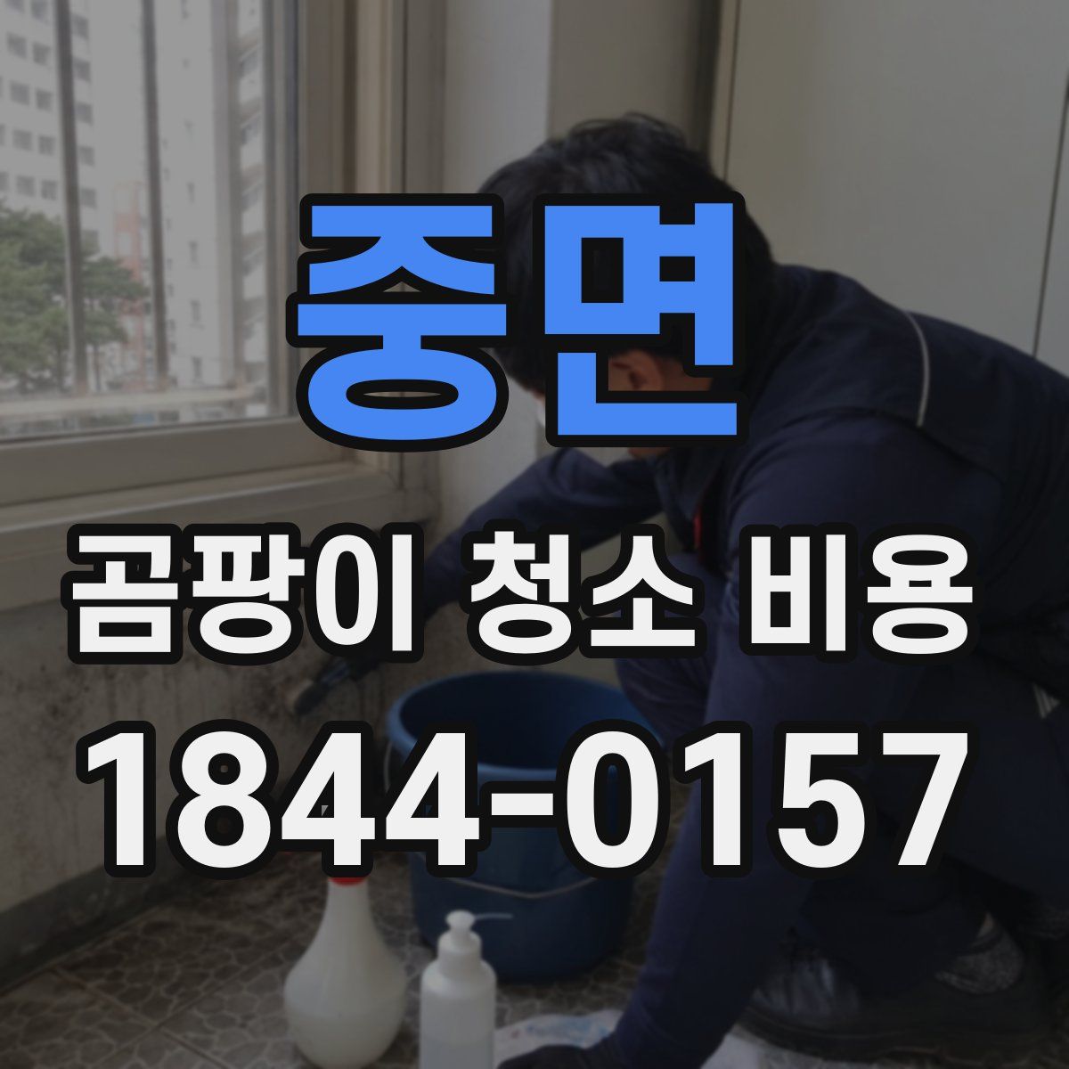 중면 곰팡이 청소 비용