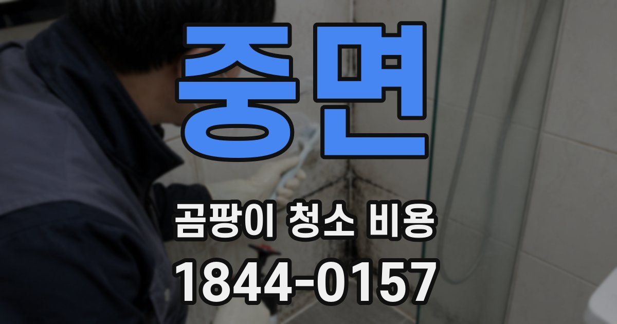 중면 곰팡이 청소 비용