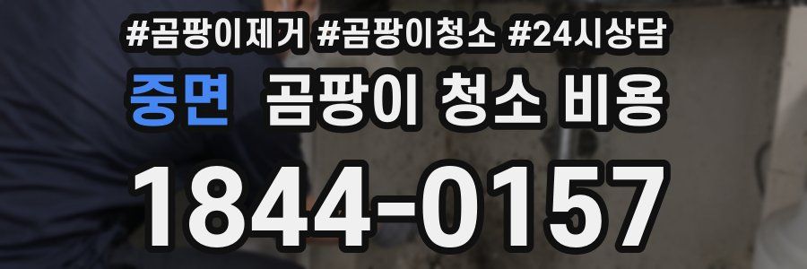 중면 곰팡이 청소 비용