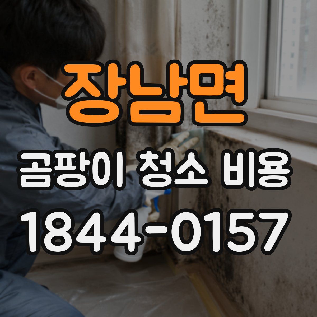 장남면 곰팡이 청소 비용