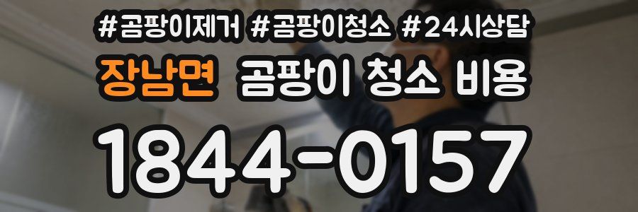 장남면 곰팡이 청소 비용