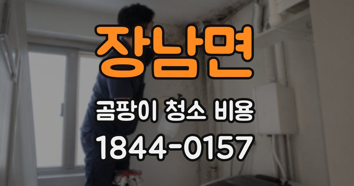 장남면 곰팡이 청소 비용