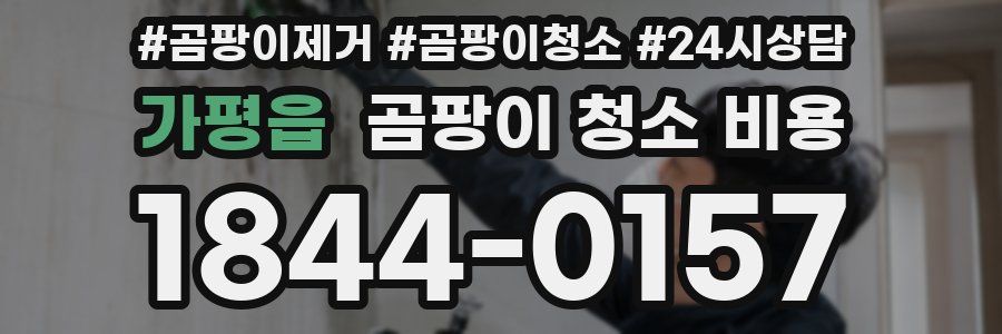 가평읍 곰팡이 청소 비용