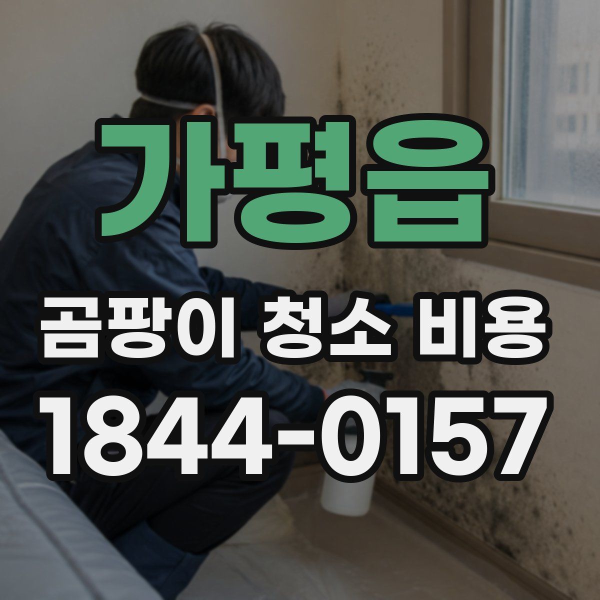 가평읍 곰팡이 청소 비용