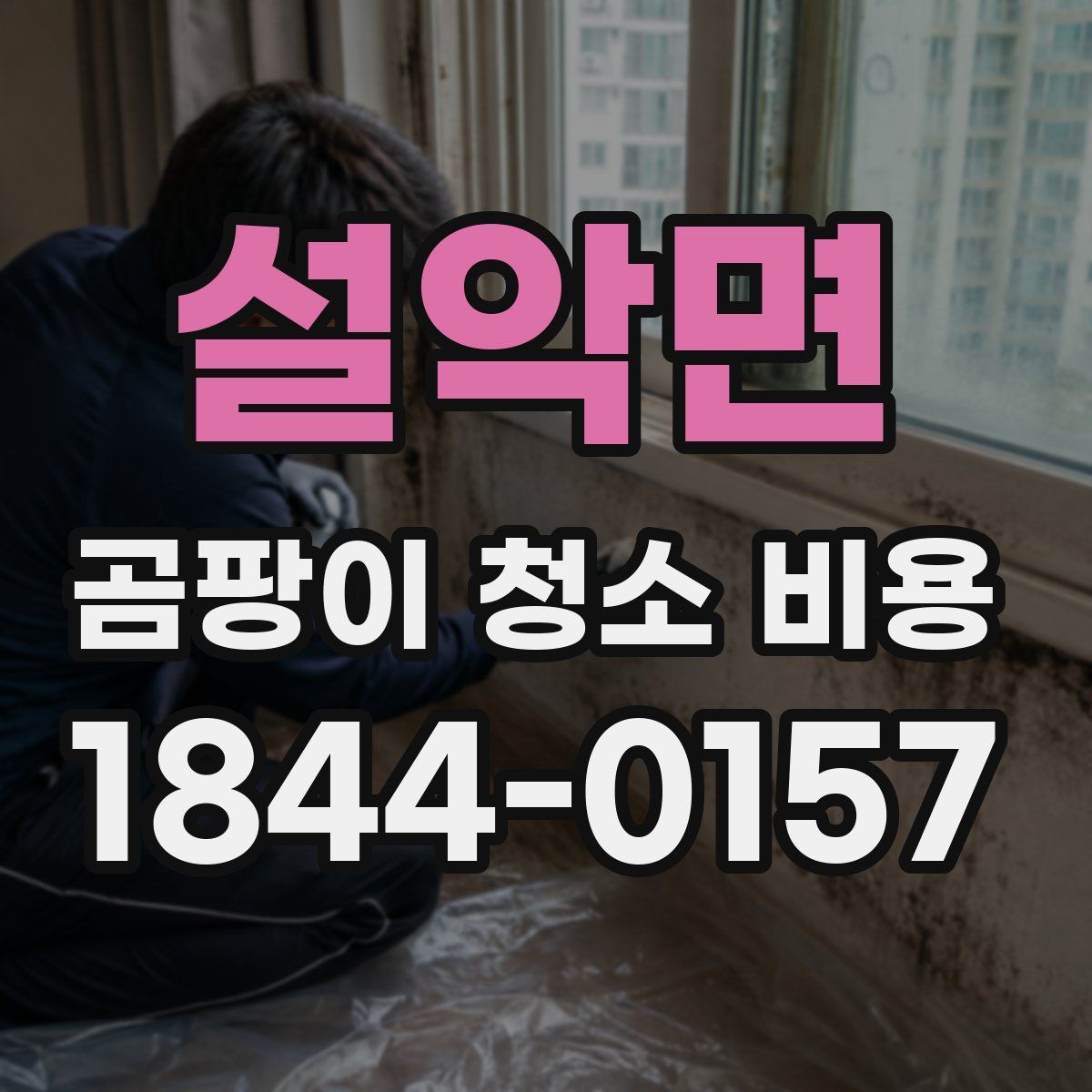 설악면 곰팡이 청소 비용