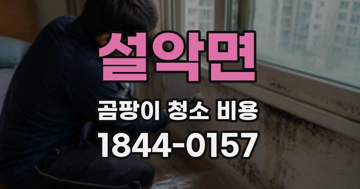 설악면 곰팡이 청소 비용