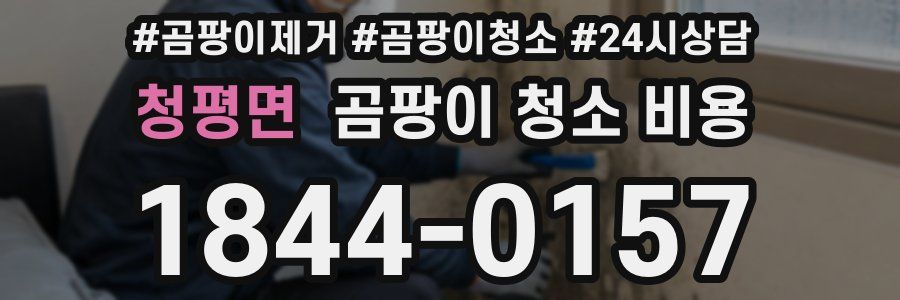 청평면 곰팡이 청소 비용