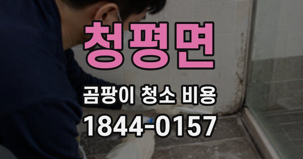 청평면 곰팡이 청소 비용