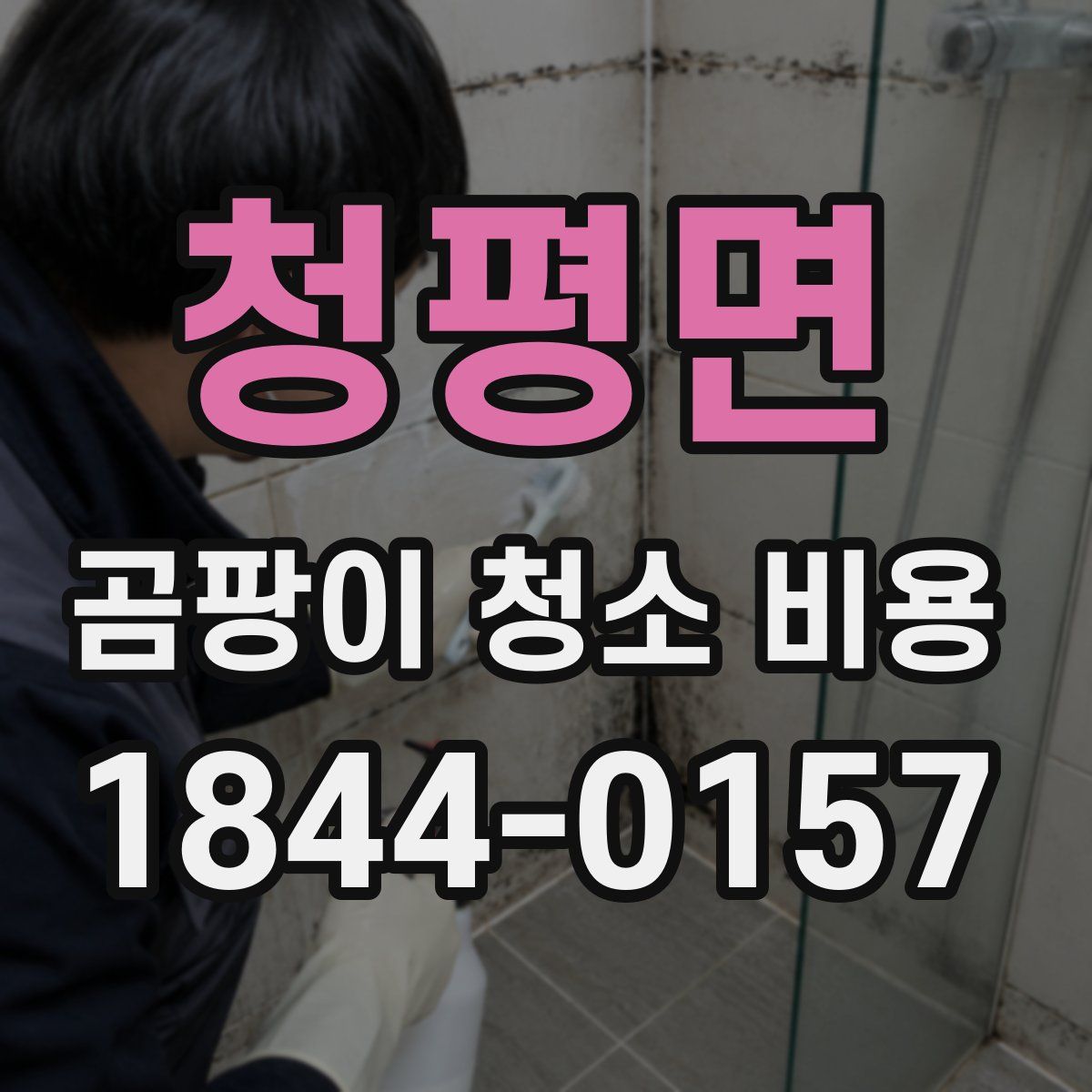 청평면 곰팡이 청소 비용
