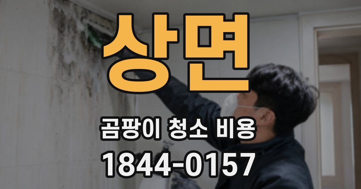 상면 곰팡이 청소 비용