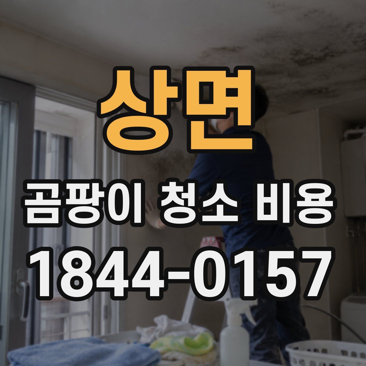상면 곰팡이 청소 비용