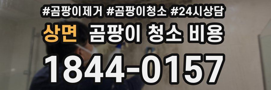 상면 곰팡이 청소 비용