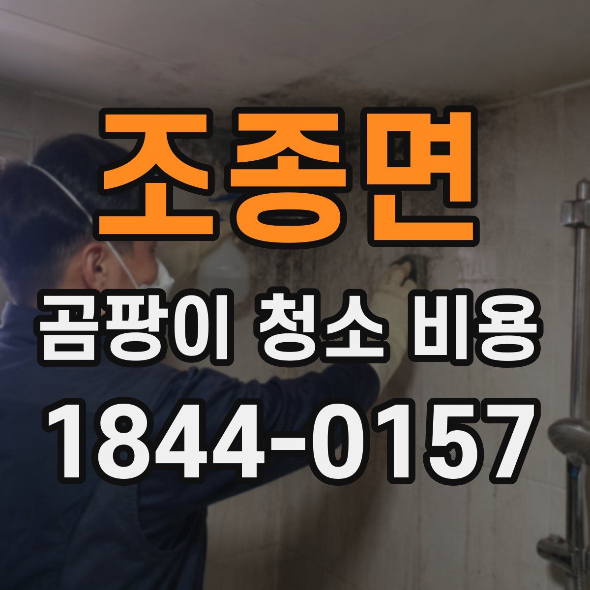 조종면 곰팡이 청소 비용