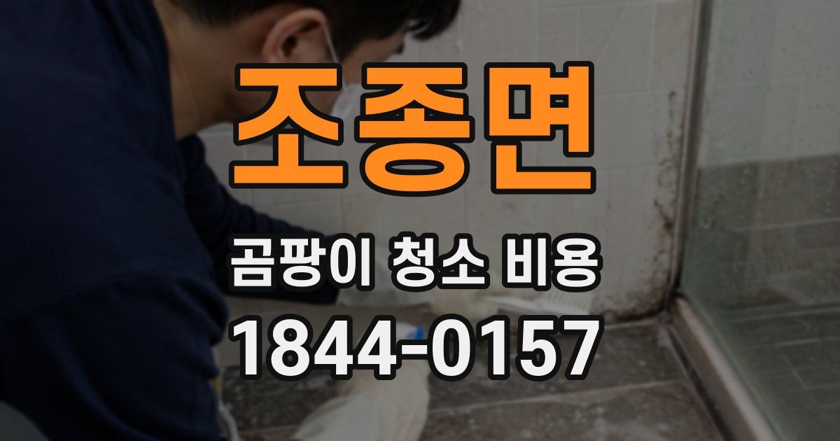 조종면 곰팡이 청소 비용