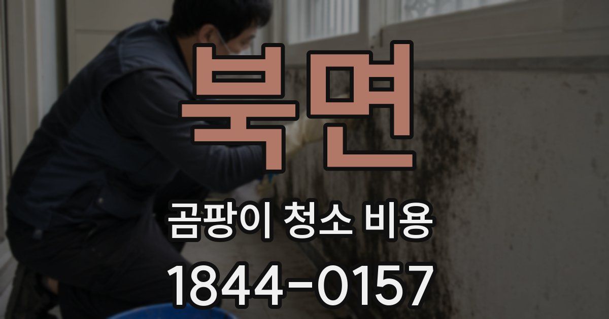 북면 곰팡이 청소 비용