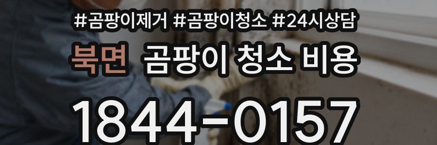 북면 곰팡이 청소 비용