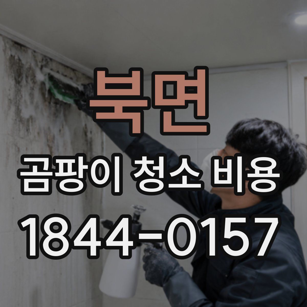 북면 곰팡이 청소 비용