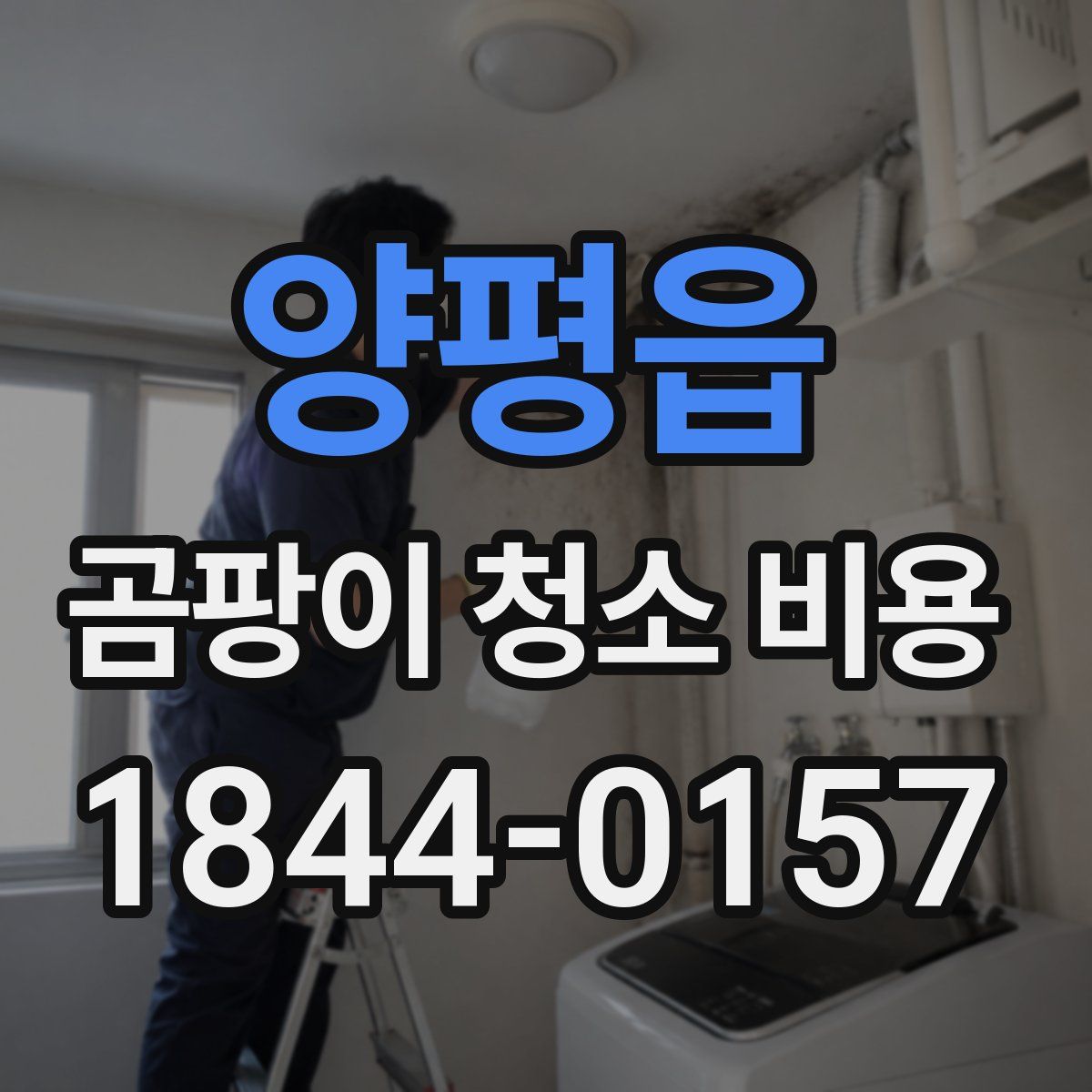양평읍 곰팡이 청소 비용